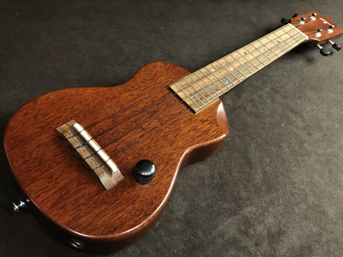T's ES-100 ウクレレ 買取