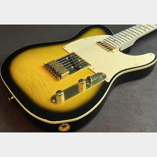 Fender Japan Richie Kotzen Telecaster 買取