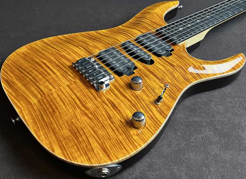 T’s Guitars DST-24 Carved Custom Order Model 買取