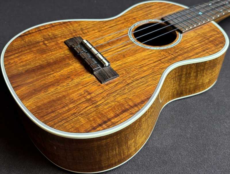 T's Ukulele TMS-220 買取