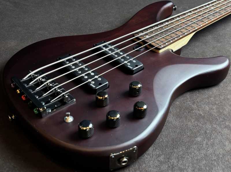 YAMAHA TRBX505 TBR 買取