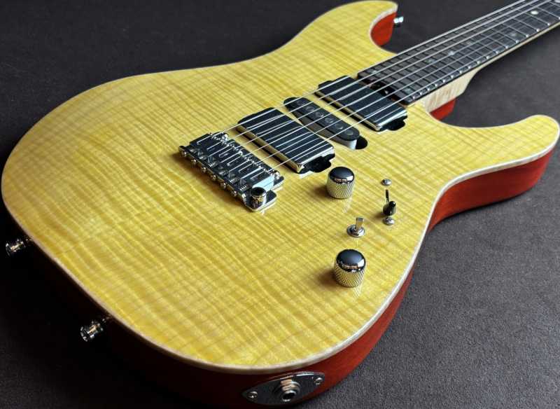 SCHECTER EX-5B-24-CTM-VTR / HYEL HR 買取