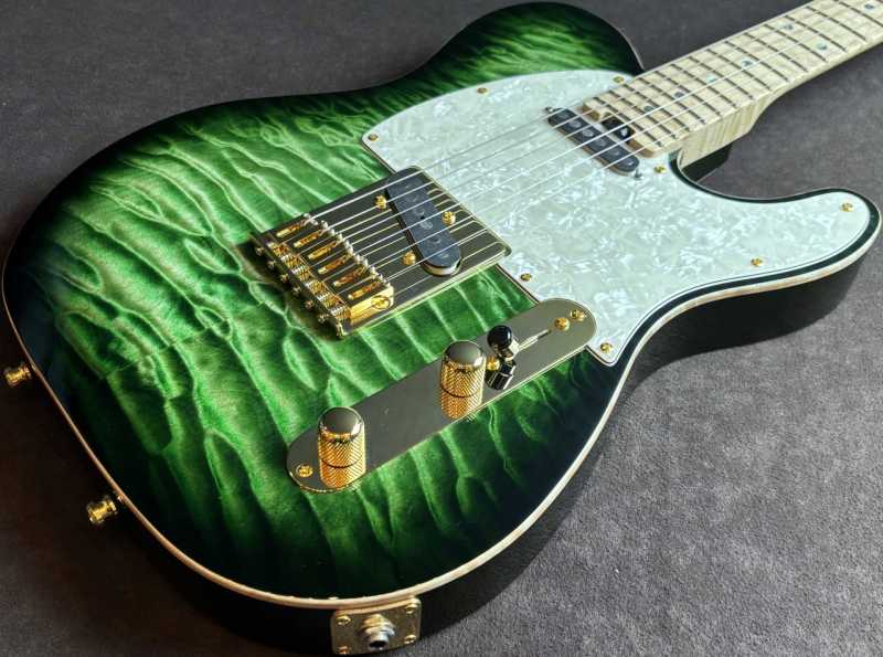 SCHECTER PT-22-CTM-FXD-BM/GRG/BM 買取