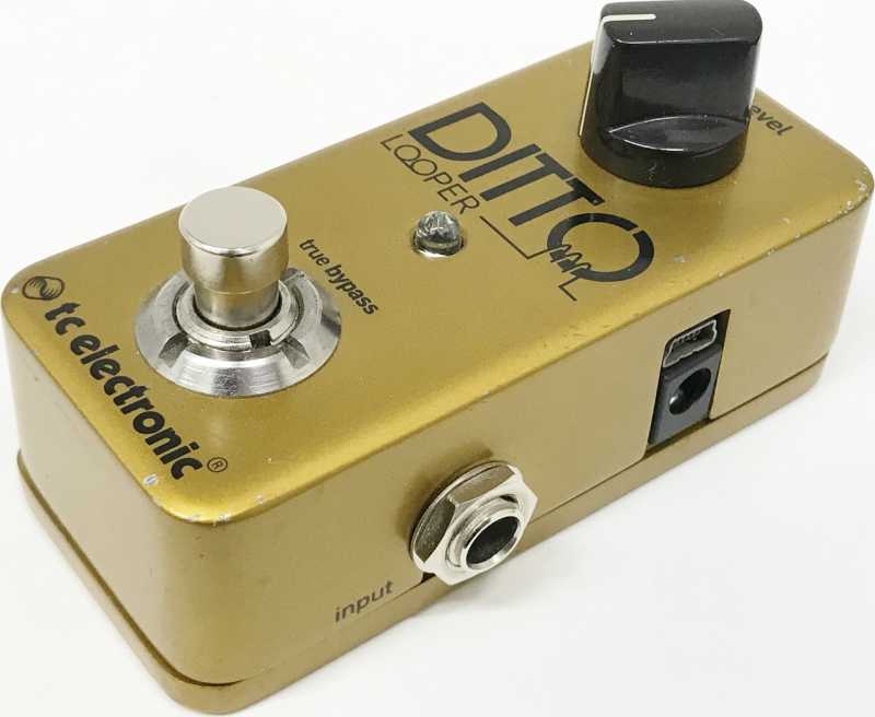 tc electronic Ditto Looper Gold Limited 買取
