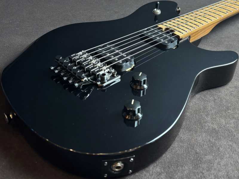 EVH Wolfgang Standard Gloss Black 買取