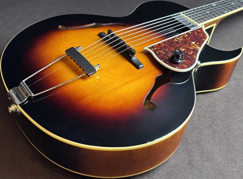 The Loar LH-650-VS 買取