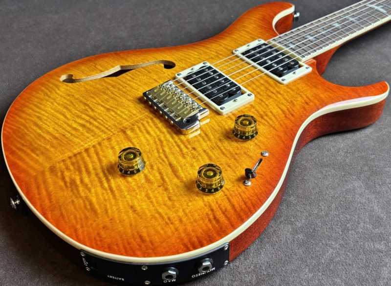 Paul Reed Smith(PRS) SE Custom 24 Semi-Hollow Piezo 買取