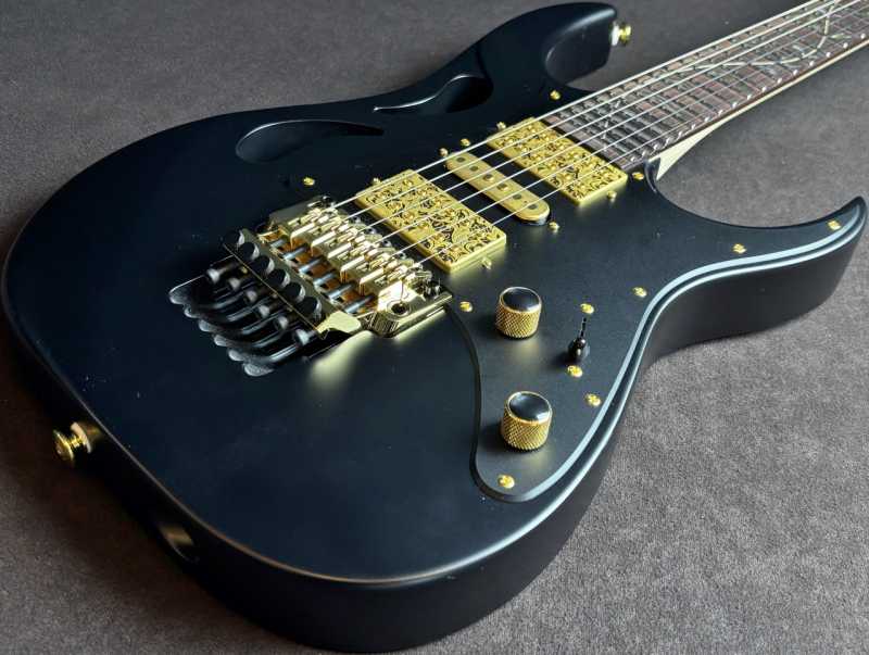 Ibanez PIA3761-XB Paradise in Art Steve Vai new signature model 買取