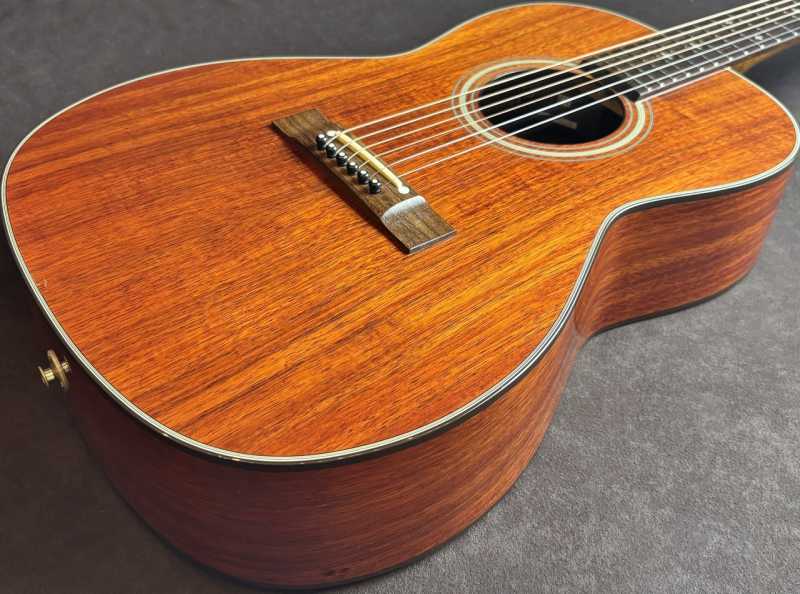 Takamine Takamine PT-407